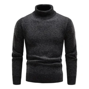 Pierre - Pull Col Roulé élégant homme